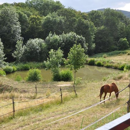 Bed and Breakfast La Bergerie Pollionnay Exterior foto