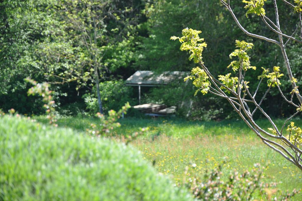 Bed and Breakfast La Bergerie Pollionnay Exterior foto