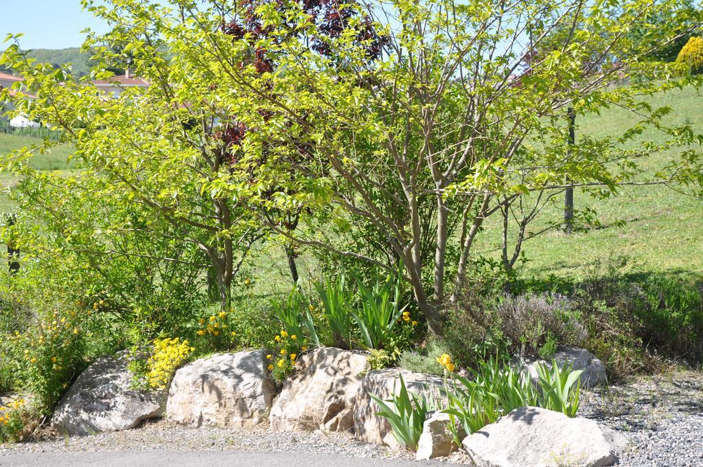 Bed and Breakfast La Bergerie Pollionnay Exterior foto