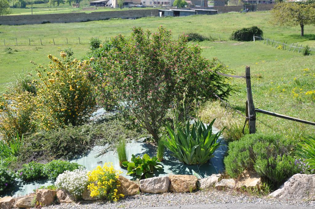Bed and Breakfast La Bergerie Pollionnay Exterior foto