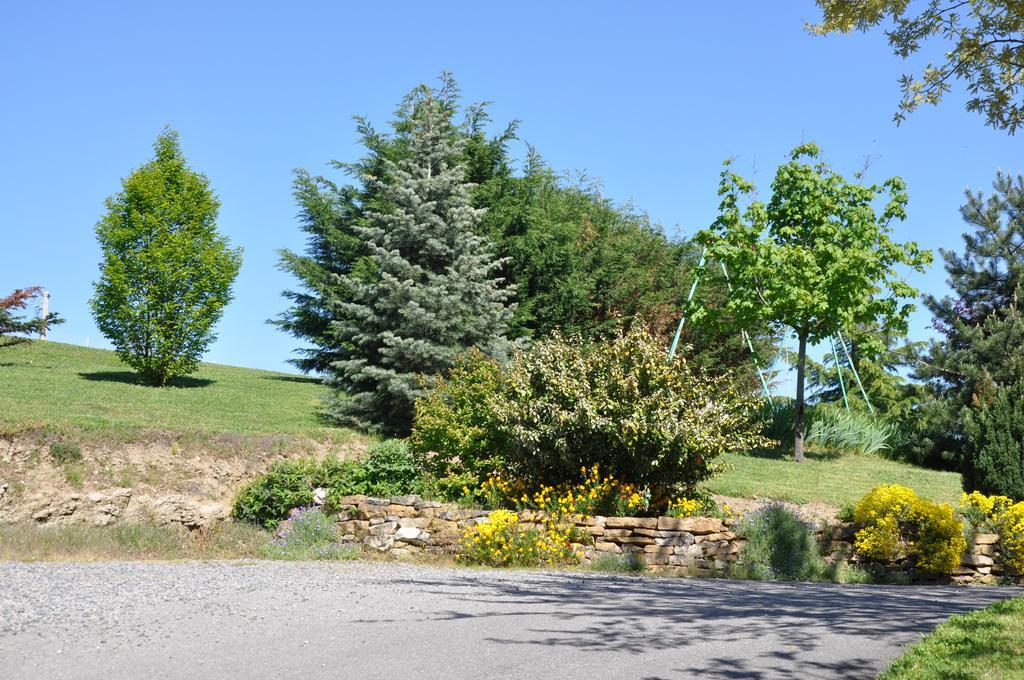 Bed and Breakfast La Bergerie Pollionnay Exterior foto